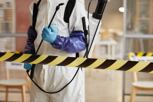 Professional Sewage Cleanup technician working in Hartman, AR